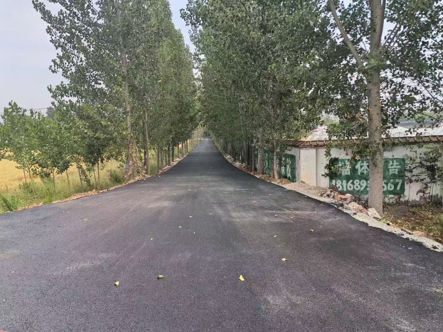 临沂市郯城县李庄镇沙墩村：让“烦心路”变“安心路”