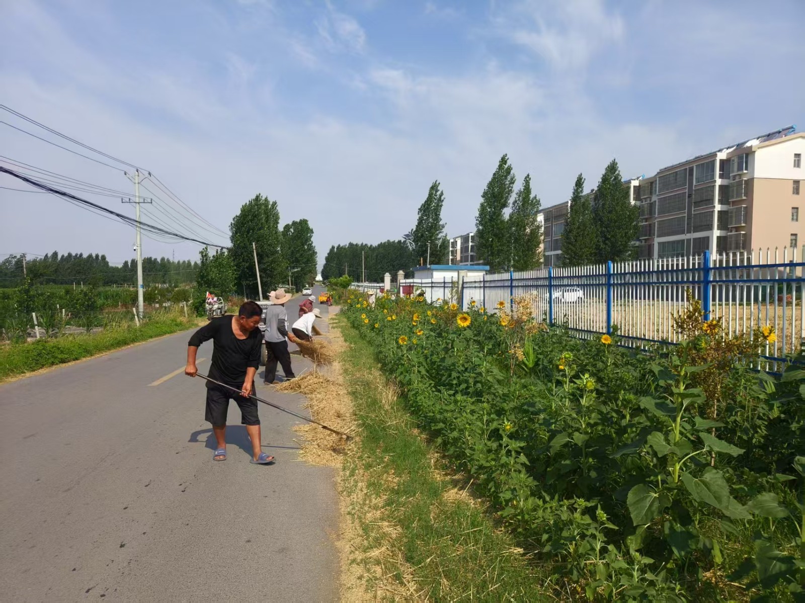 临沂市郯城县李庄镇于泉村开展路边秸秆及花丛杂草清理行动
