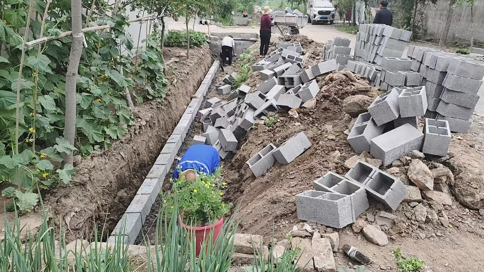 微信图片编辑_20250604161849
