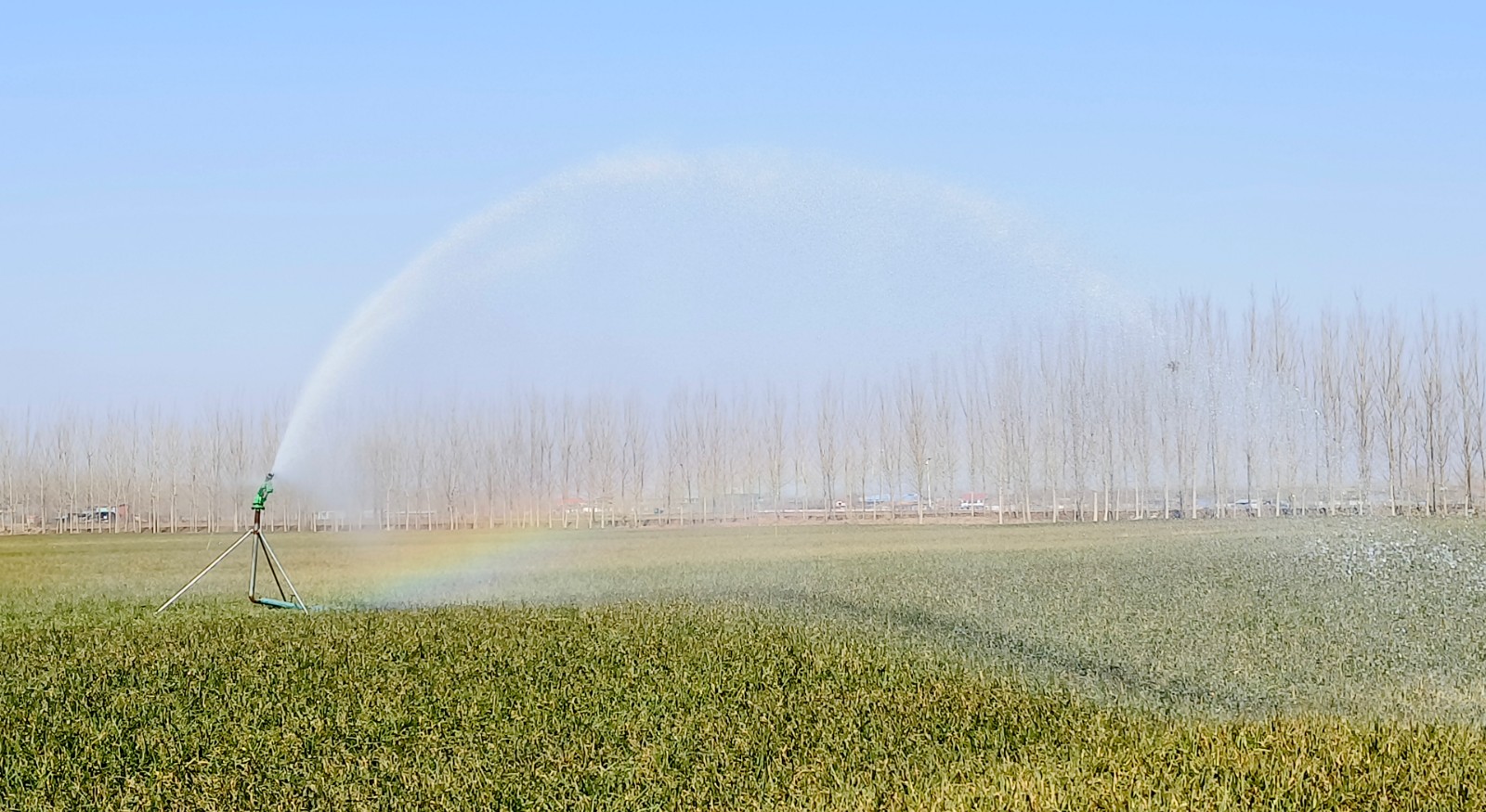 微信图片_20250219093536