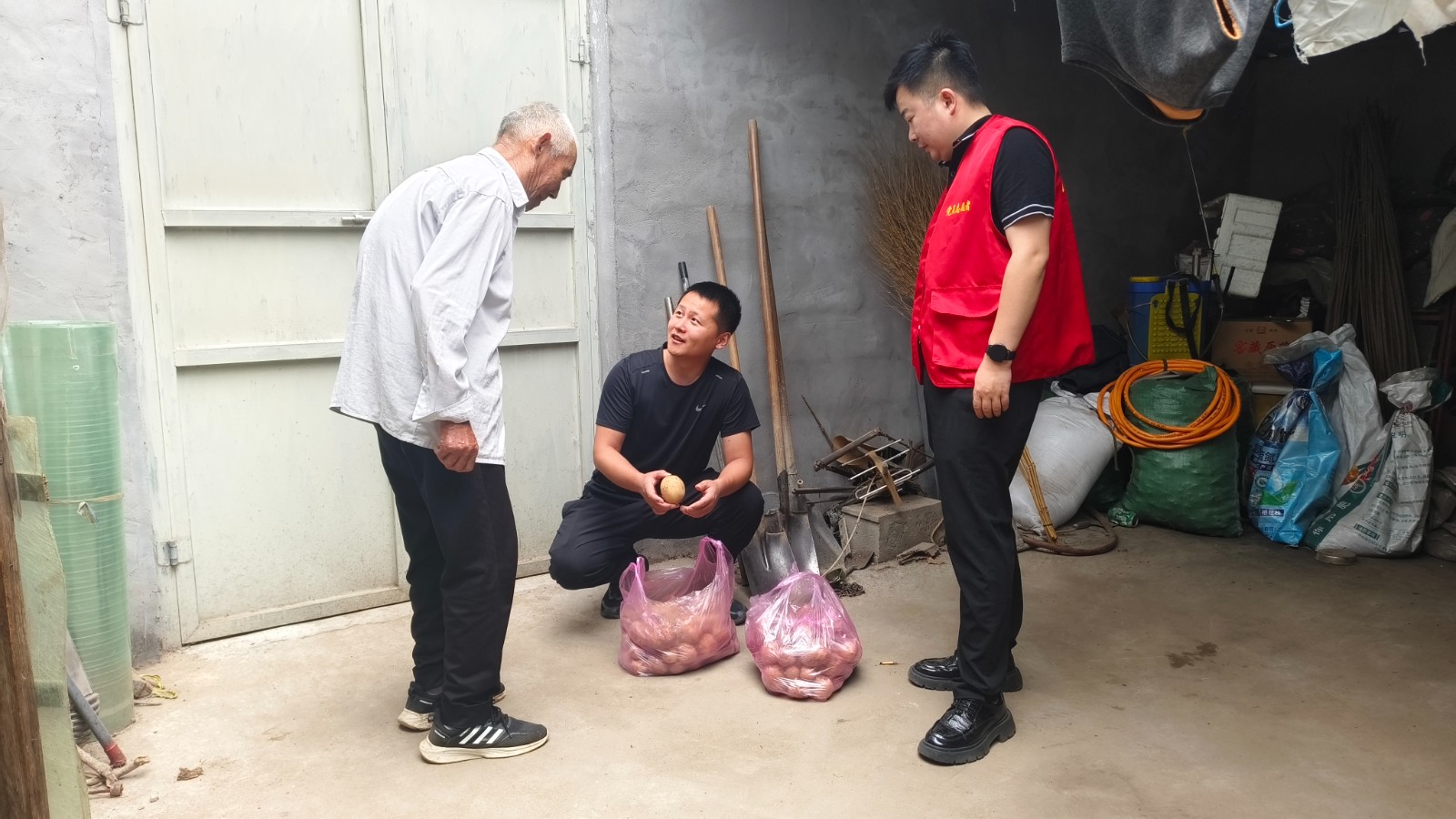 土豆传温情!尚庄一村丰收时节暖人心