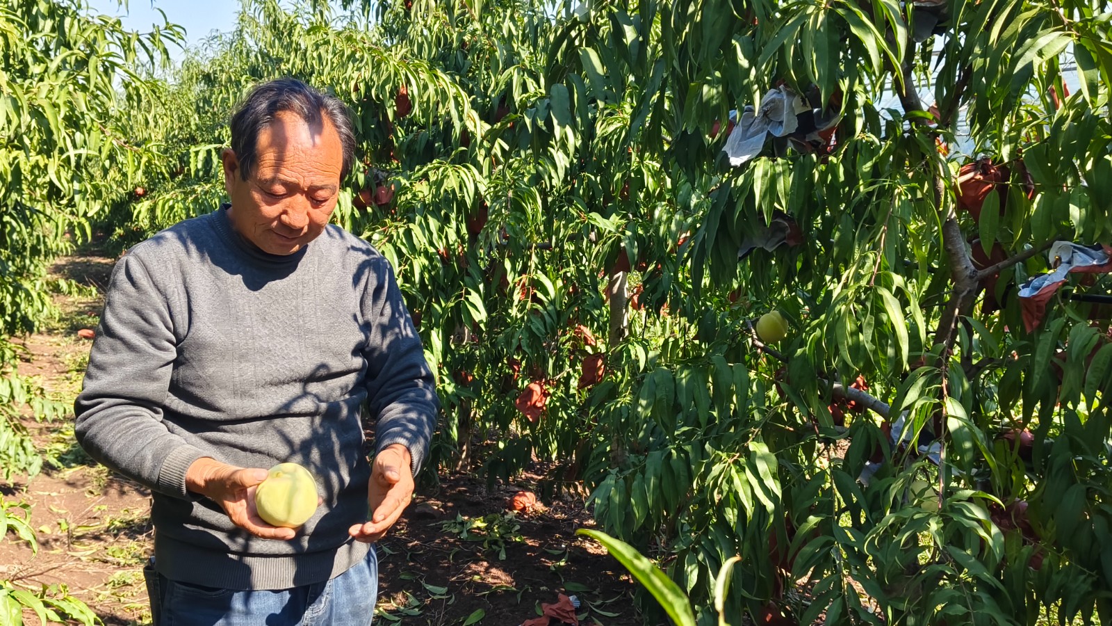 微信图片_20241023160741