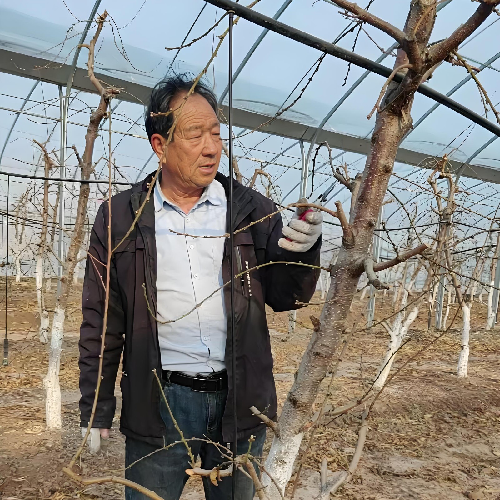 3e63bcd9c61e6c283295834983466bfb