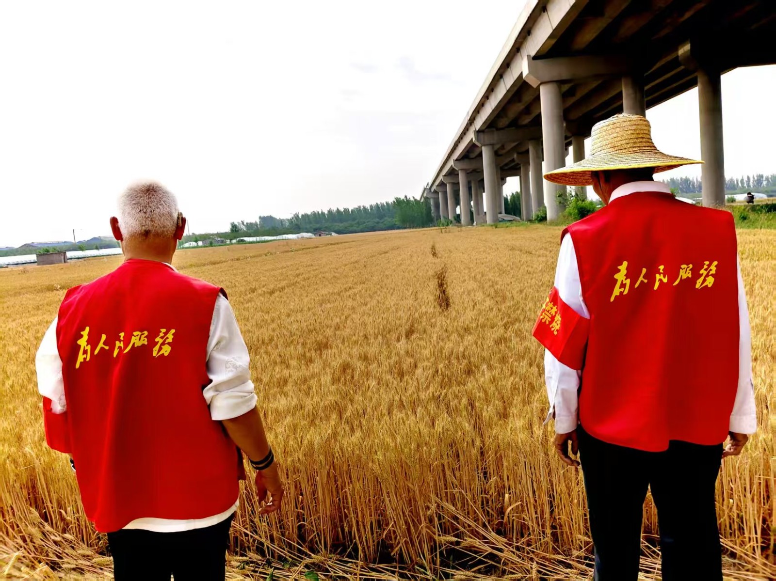 临沂市郯城县李庄镇:秸秆防火“守夜人”守护乡村平安