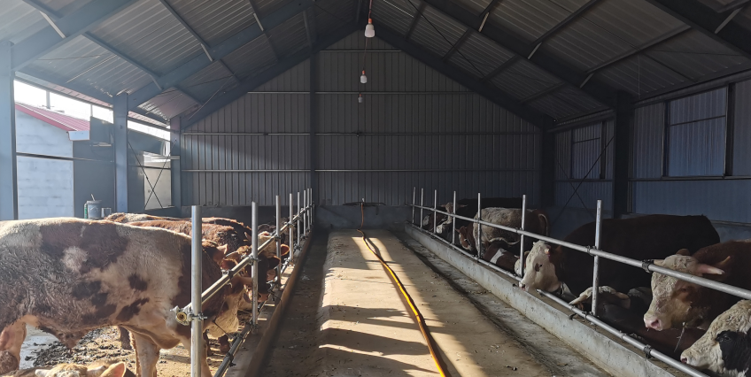 微信图片_20241213155952