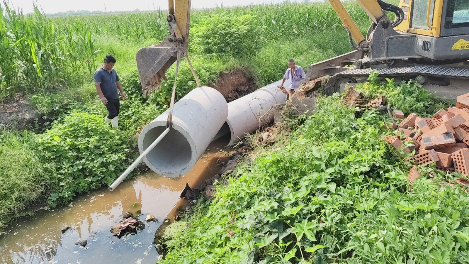 微信图片_20240823105630